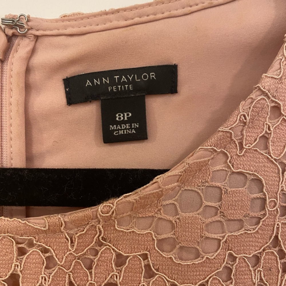 Ann Taylor Lace Shift Dress - Picture 3 of 7